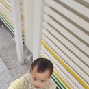 고양어린이박물관 | 18개월 아기랑 갈만한 곳 무료, 경기 고양 어린이박물관 솔직 후기