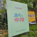 토이농장 | 서울 근교 동물 체험 농장 경기도 양평 토이앤버니팜 5월 아이와 방문 후기