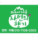 향기나무펜션민박 이미지