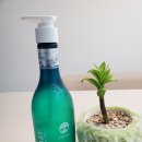 기프티스트 바하솔트 스파워시 정말 기분 좋아지는 샤워!