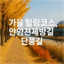 안양천 공중화장실(광명대교) | 도심 속 가을 힐링코스, 안양천제방길 단풍길 걷기 완벽 가이드