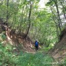 원주굽이길 2코스 700년노송길 | 원주굽이길 2코스(700년노송길)