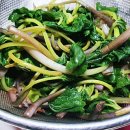 채수농장 이미지