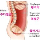 필라테스혜