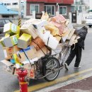 대한노인회의정부지회 | 주는 행복(재)