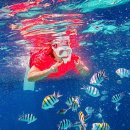 그랑블루게임파크 | 세부 호핑투어 가격 할인 럭셔리 요트 호핑 더마크 스노클링 다이빙 후기