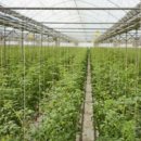 도울태양광발전소 이미지