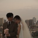 스텔(stell)