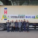 경주버섯 이미지