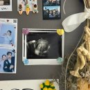 코아우리약국 | [임신일기 #04] 괜히 불안한 5주차부터 7주차의 일상 ! (아기집,난황,심장소리)