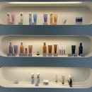 모트헤어 이미지