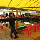 힐링호좌대 이미지