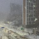 득근도시