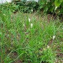 현덕 축구장 이미지