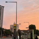 아임버디B | I’m your BUDDY 🐾 : 2025 스파이에어 내한 첫콘 후기 및 팁