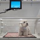 이을동물병원 이미지