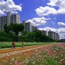 동두천-044 Daum카페