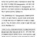 트럼프가 잘할거라 생각하고 투표했는데 몇달 뒤 잘린 미국 공무원들 이미지