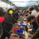 사계절농장 이미지