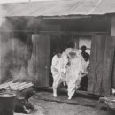 뮤지엄 한미 이미지