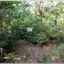 용산숲 입구 이미지