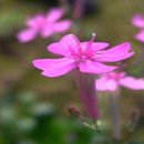 그대그리고나 이미지