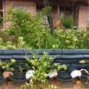 인동초민박 이미지