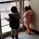 위즈아이어린이집 이미지