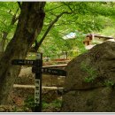 비로산장 이미지