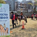 대덕승마장 이미지