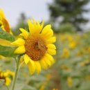 가나안농장2 이미지