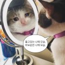 [후기] 2025 김우빈 팬미팅 Woobin&#39;s Diary, 포토그레이 프레임 기간