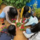 무극초등학교 이미지