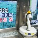 원조서울추어탕 이미지