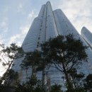 신세계 태양광발전소 이미지