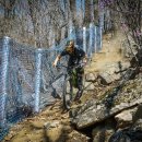 원주시 관광안내소 이미지