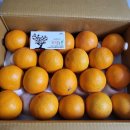 함초롬농원 이미지