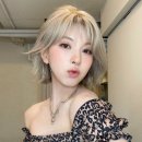 배이 카카오 검색결과