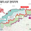 김일환 농장 이미지