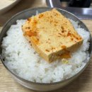 오산 한식 돈가네김치찌개 오산점 막걸리 무제한 호로록 맛집