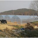 강대택농장 이미지