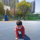 태인체육공원 이미지