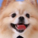 내사진관
