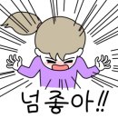 해피펫애견 이미지