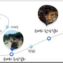 차탄천 용소 Daum카페