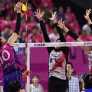 흥국생명 이미지