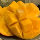 더코지(The Cozy) | 11박 13일 시드니ep.5(오페라하우스 러닝, 더 티코지, MCA, 오페라바, 넘버원마라탕, 달링하버)