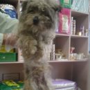 보문산오거리 이미지