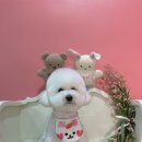 양덕동275 이미지