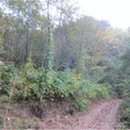 인제06-1 이미지